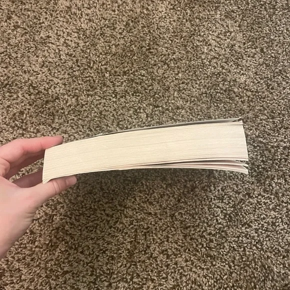 The Companion paperback psychological fiction book - Picture 4 of 5